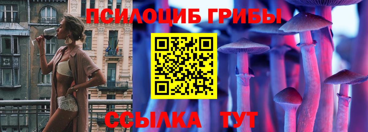 Галлюциногенные грибы Psilocybe  Галлюциногенные грибы GOLDEN TEACHER  Вход с VPN  Всеволожск 